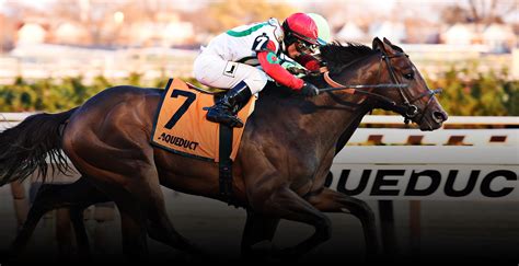 Free Horse Racing Replays for today, yesterday and further back. . Nyra replay
